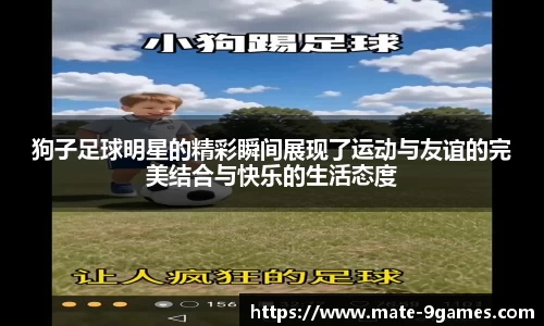 狗子足球明星的精彩瞬间展现了运动与友谊的完美结合与快乐的生活态度
